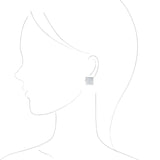 ダイヤモンド イヤリング シルバー ギフト ブランド HASUNA エシカルジュエリー