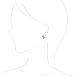 ウィルクス貝 ダイヤモンド イヤリング 18金 ハスナ HASUNA エシカルジュエリー